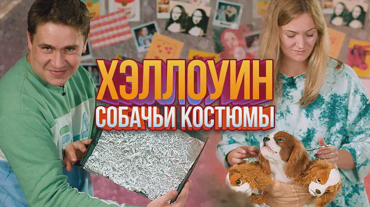 DIY: костюмы для собак на Хэллоуин