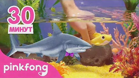 Это настоящая акула!🦈 | +Сборник детских стишков | Пинкфонг Песни для Детей