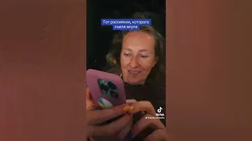 Тот россиянин, которого съела акула