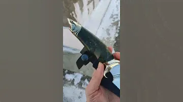Авторский нож "Акула"